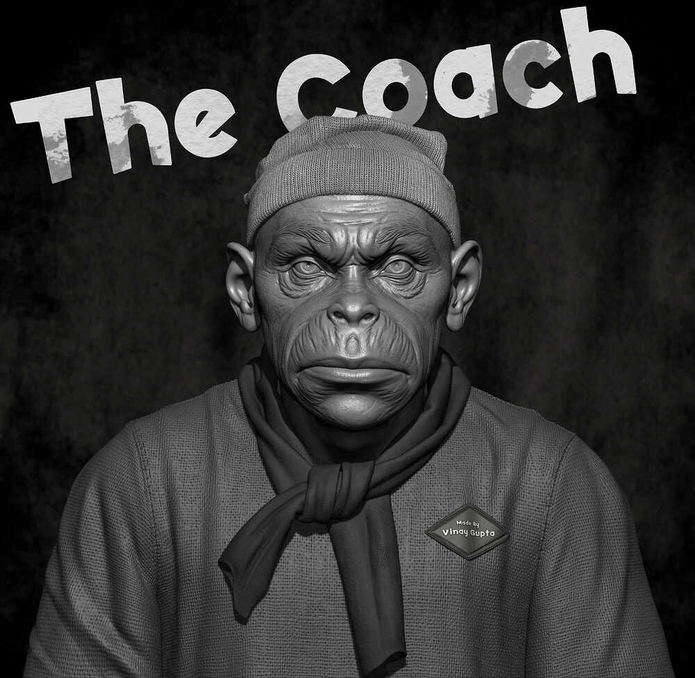 The_Coach_by_Vinay_Gupta