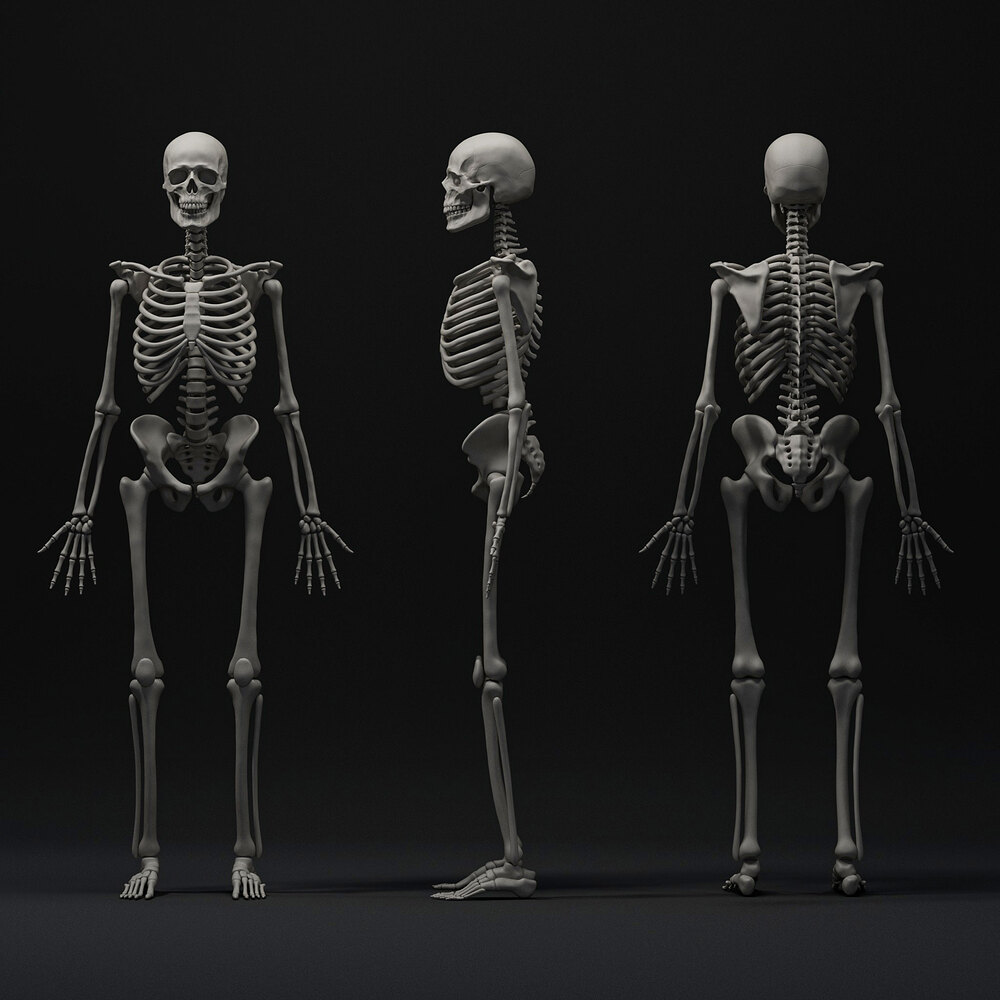 Skeleton_edit