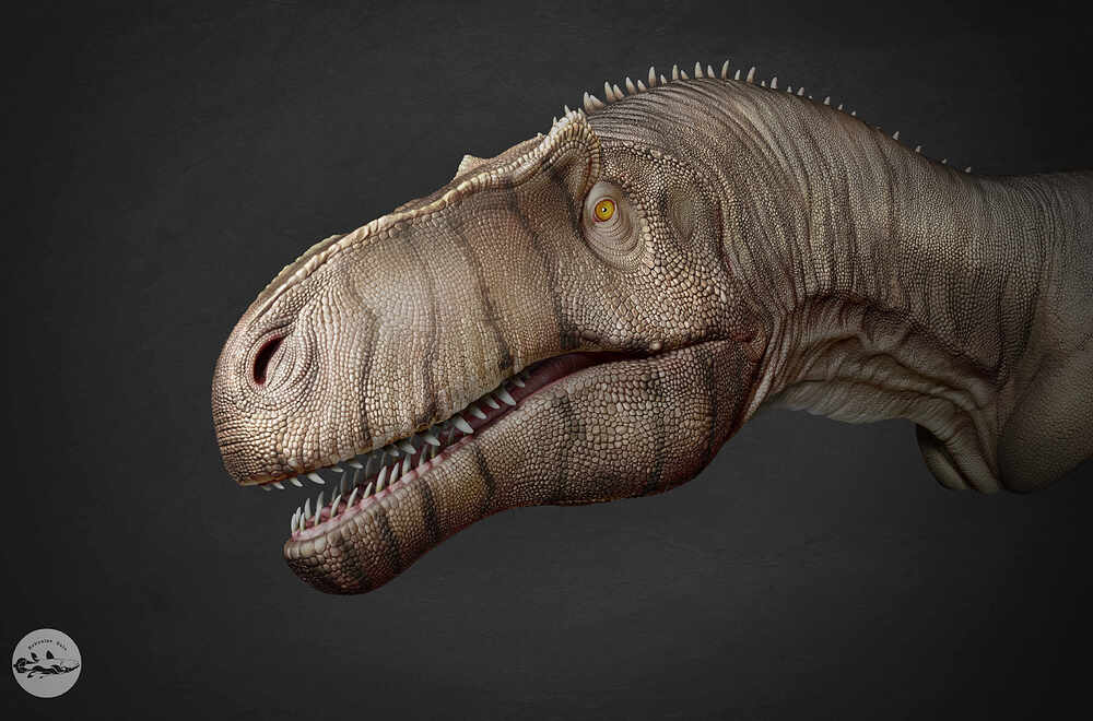 Render_0_003C