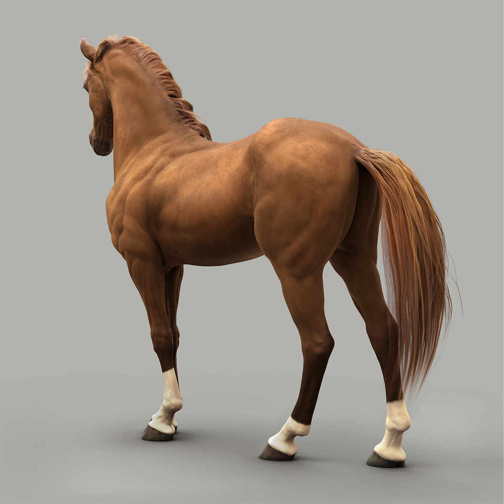 horse_04_By_Khalixti