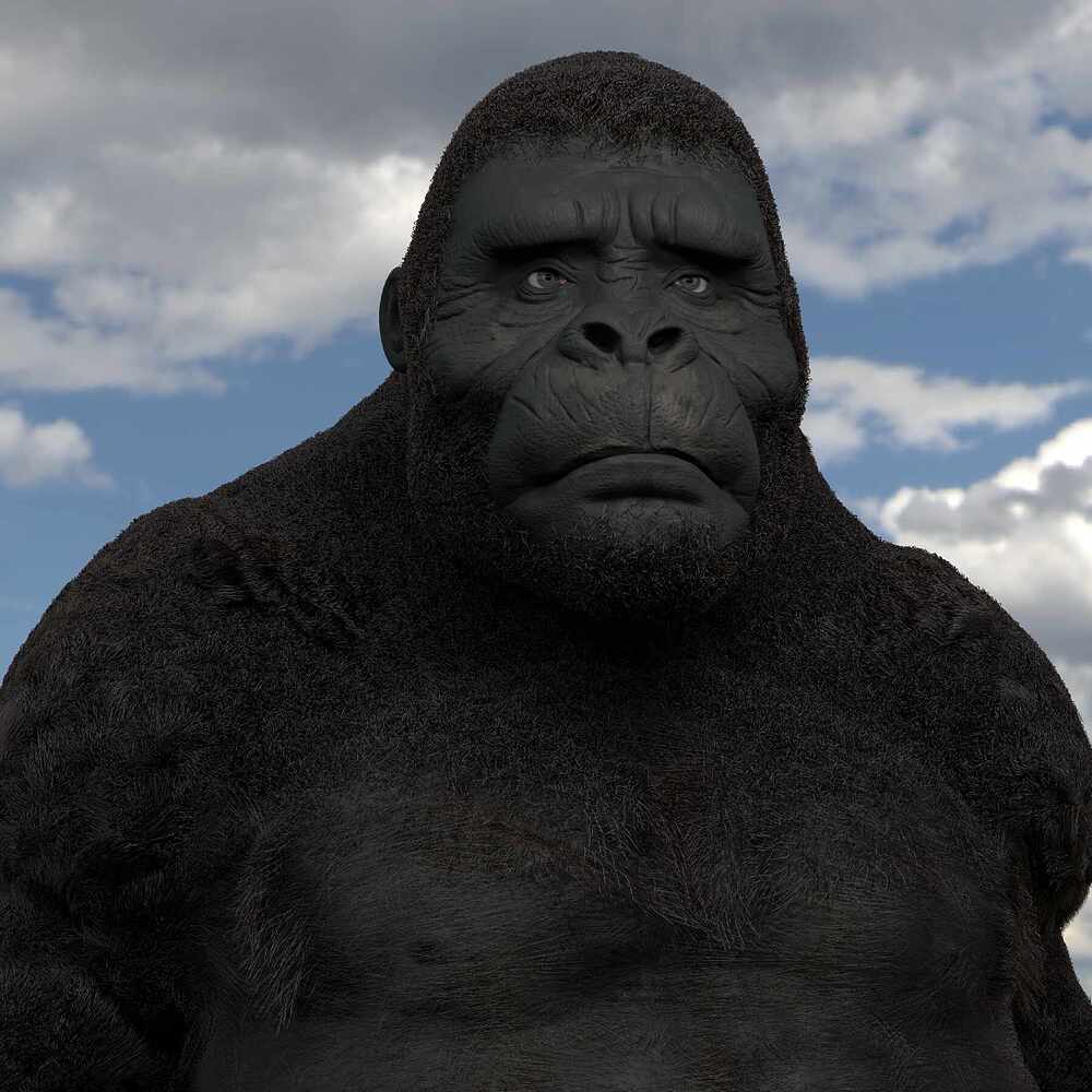 render2jpeg