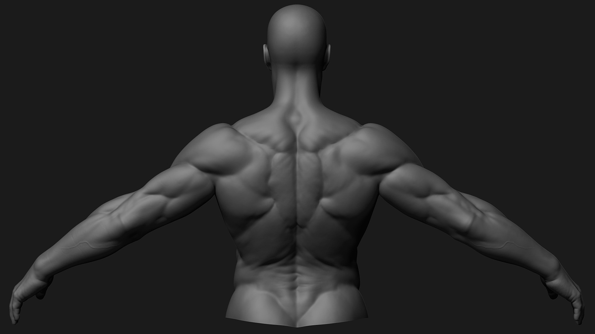 12_Sculpt