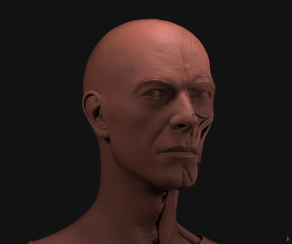 bowie_render3