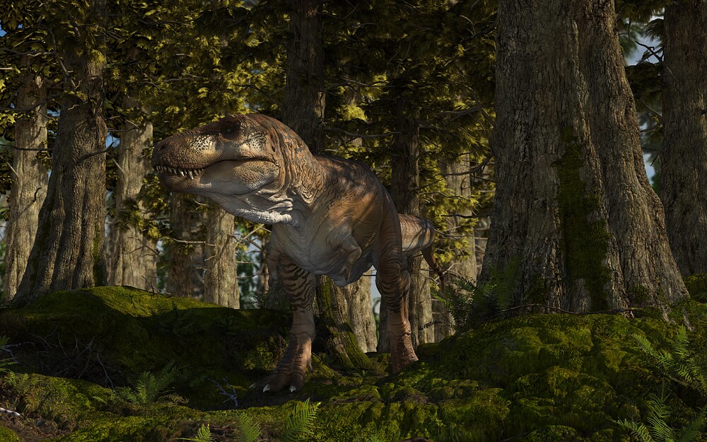 Rex test 4