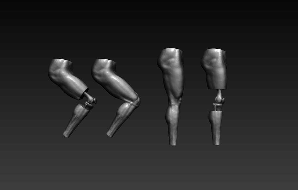 Leg_zbrush_05