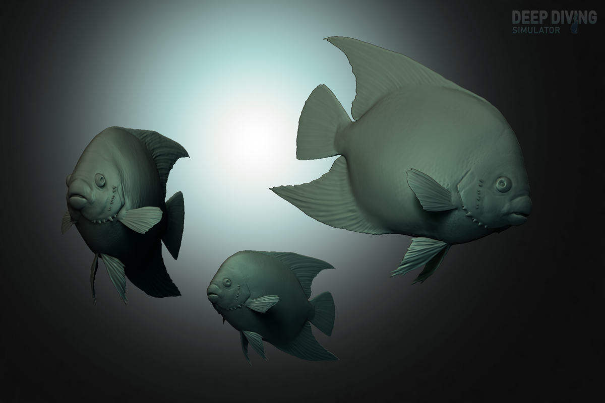 HolacanhusCiliaris_r_002_high_FINAL
