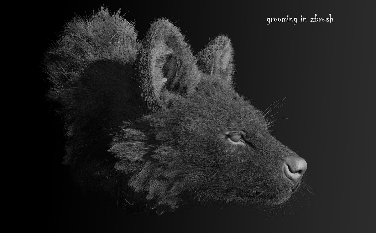grooming in zbrush 2