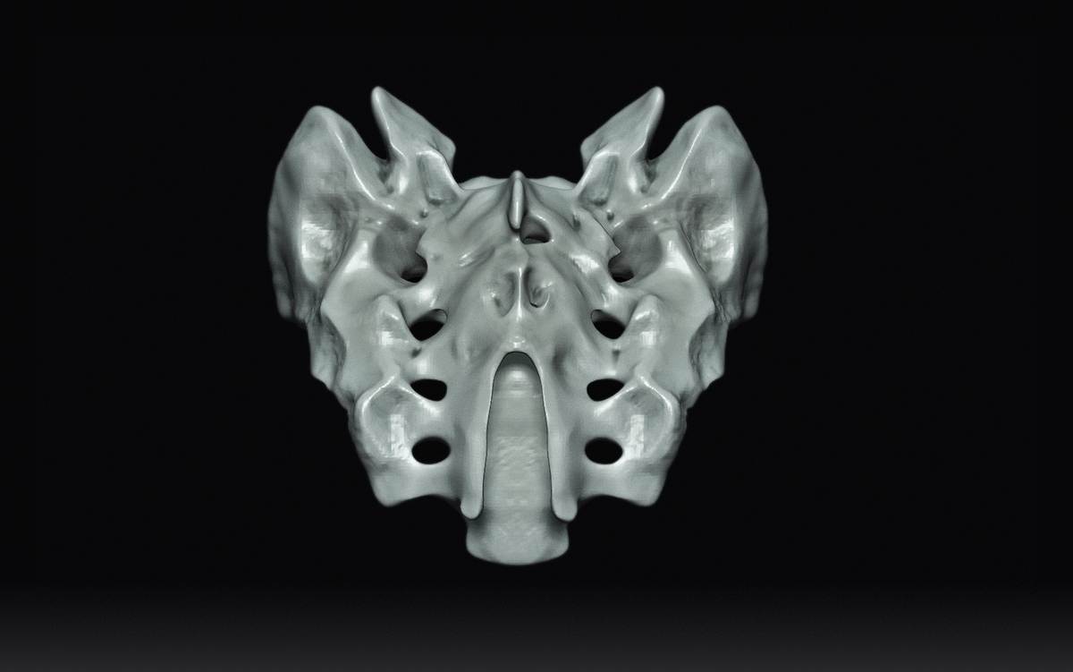 Sacrum2