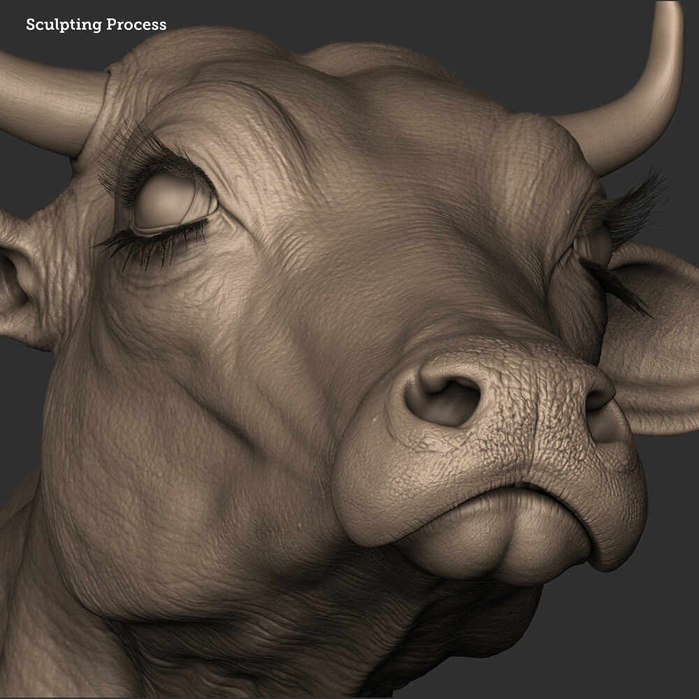 Cow_7