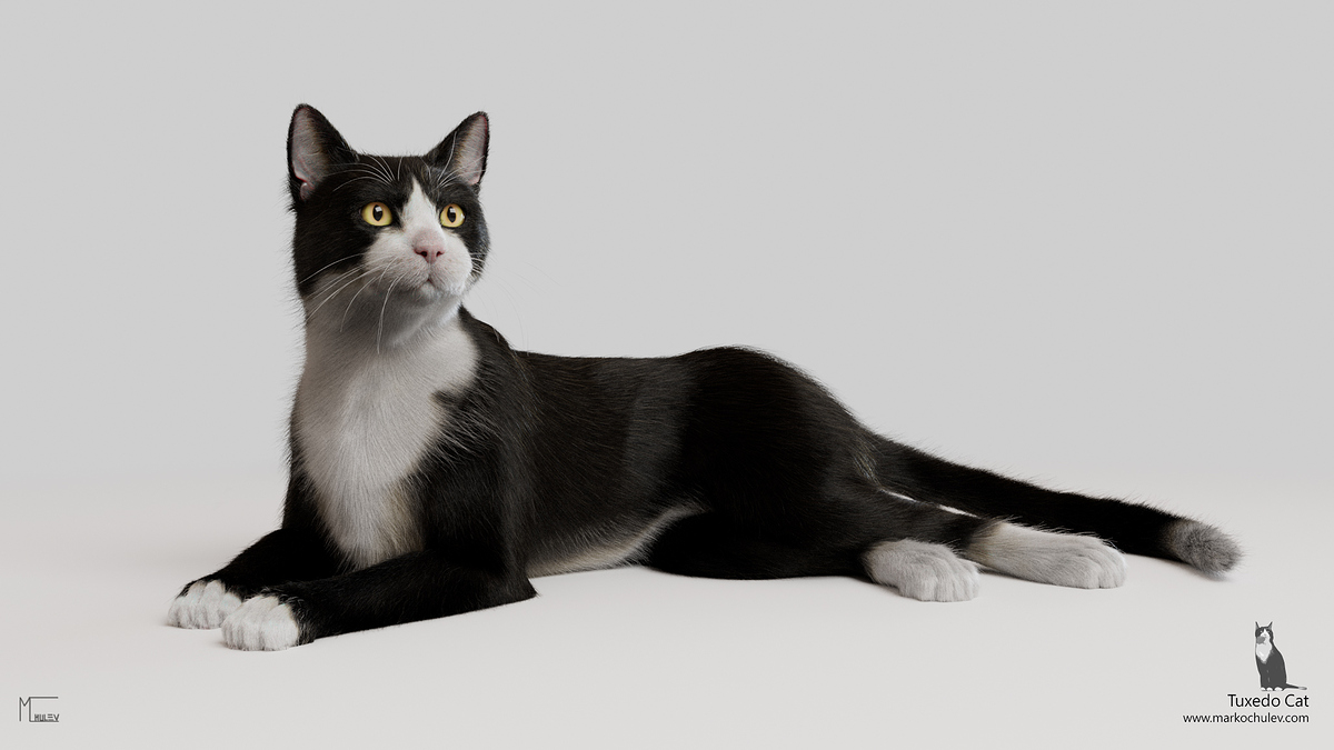TuxedoCat.v1.7
