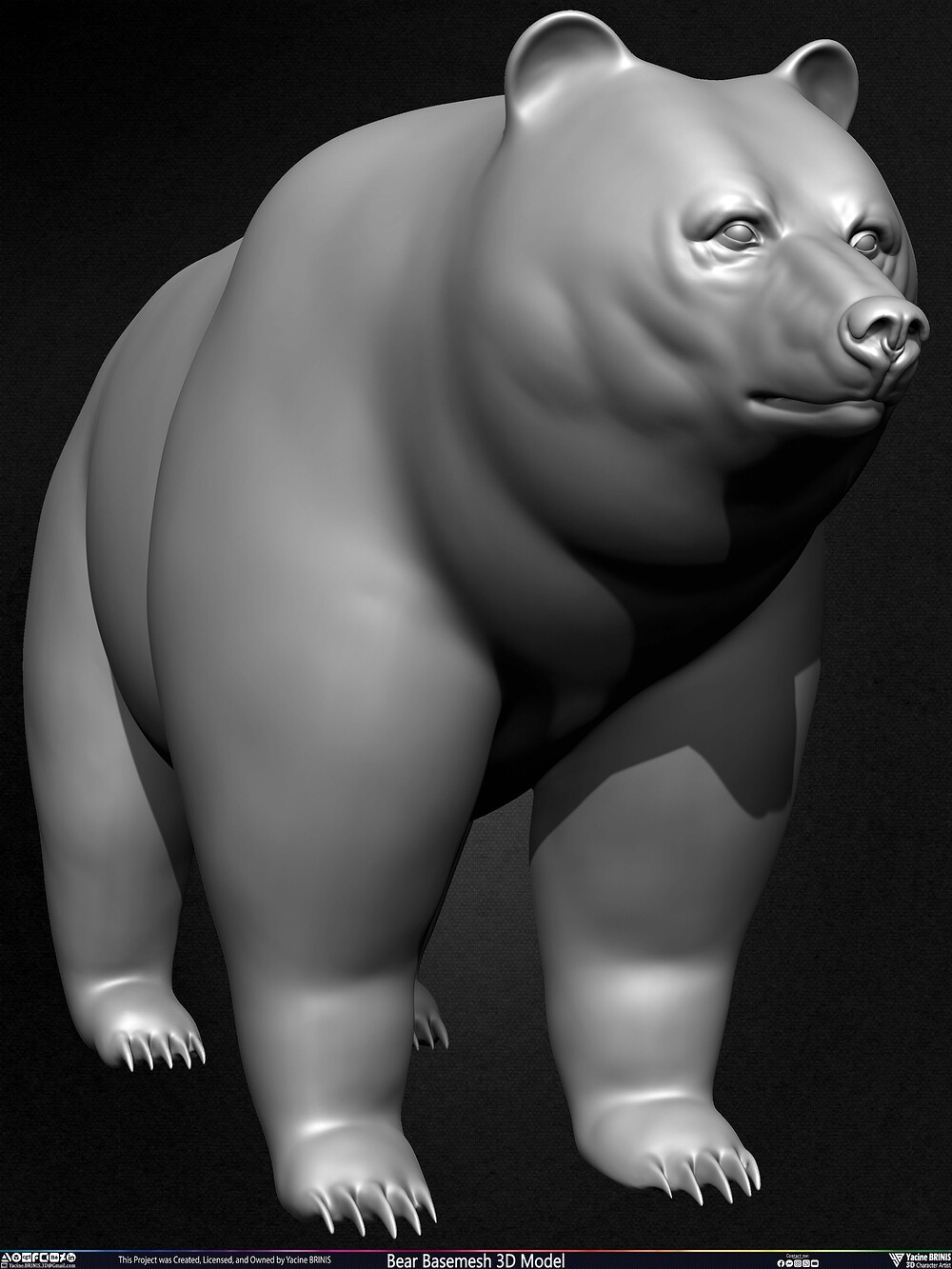 Bear Basemesh 3D Model Sculpted by Yacine BRINIS Set 008