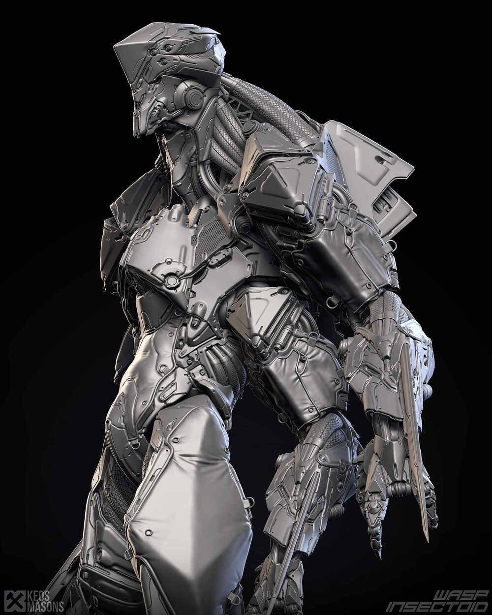 wasp_z04b