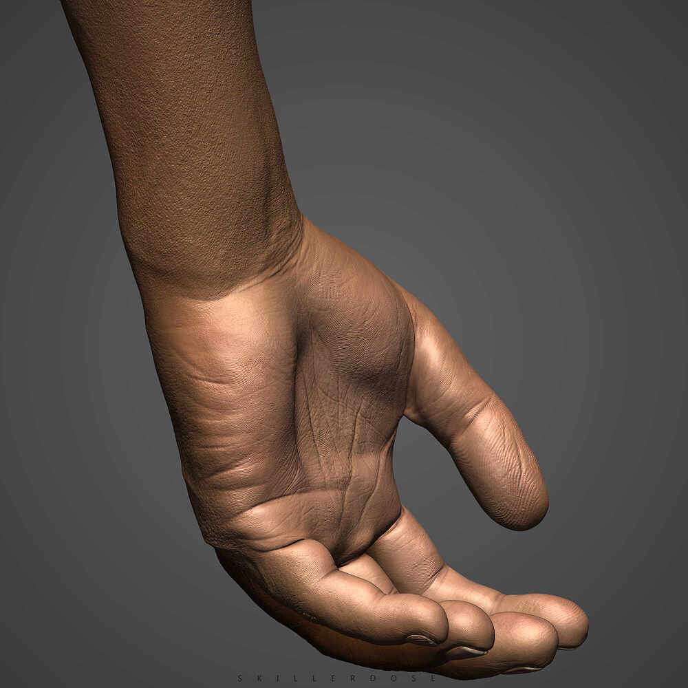 BPR_Render05
