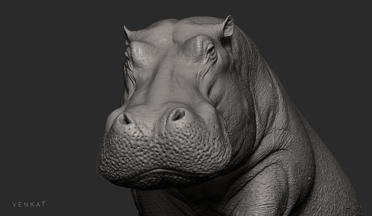 hippo_10_fx