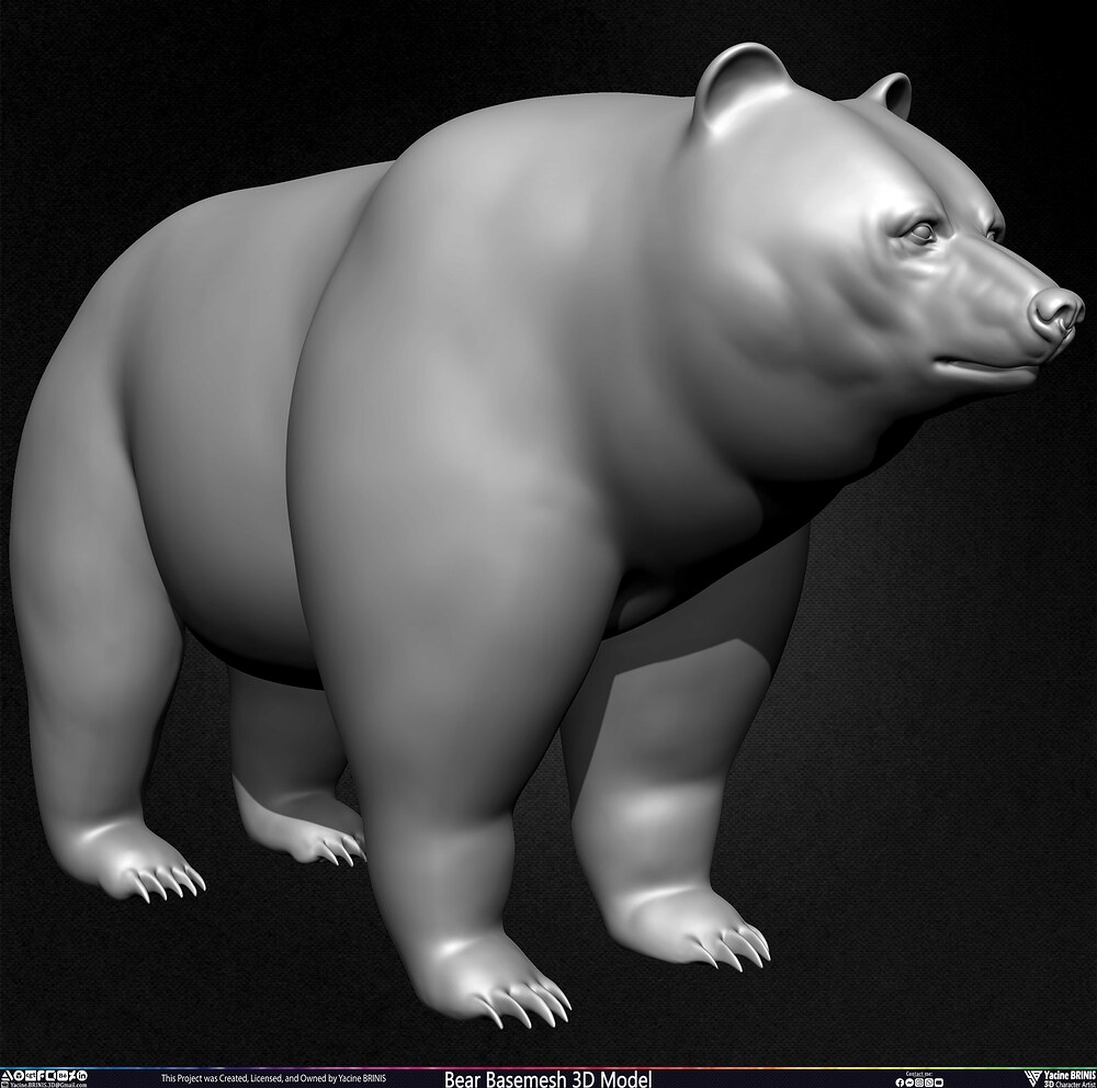 Bear Basemesh 3D Model Sculpted by Yacine BRINIS Set 005