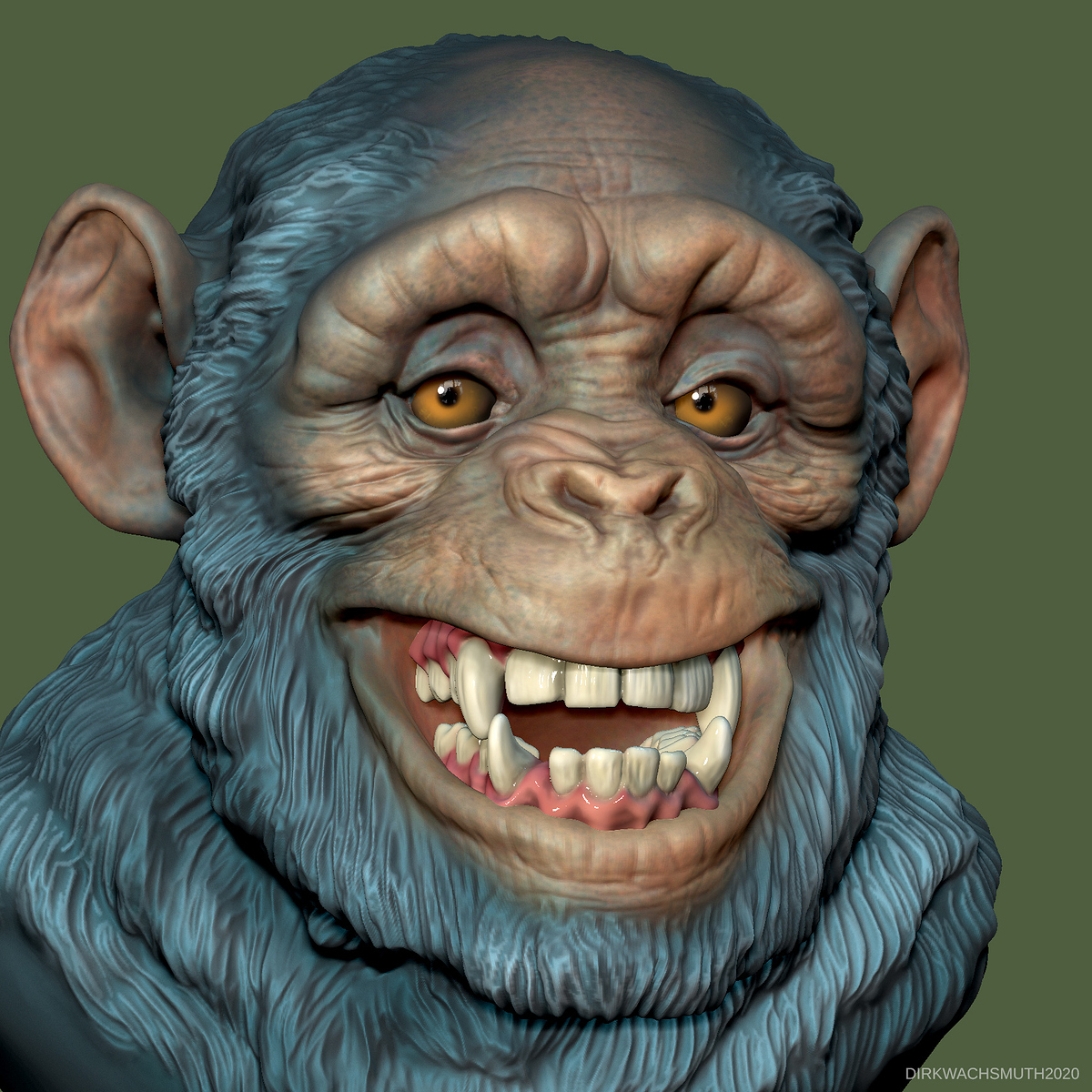 chimp_01