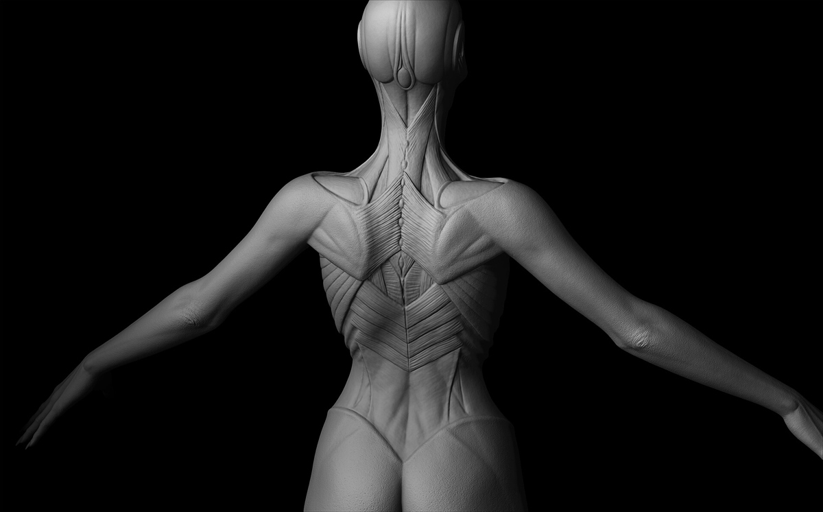 konrx-krolikowski-butterfly-hex-sculpt-inner3-back1