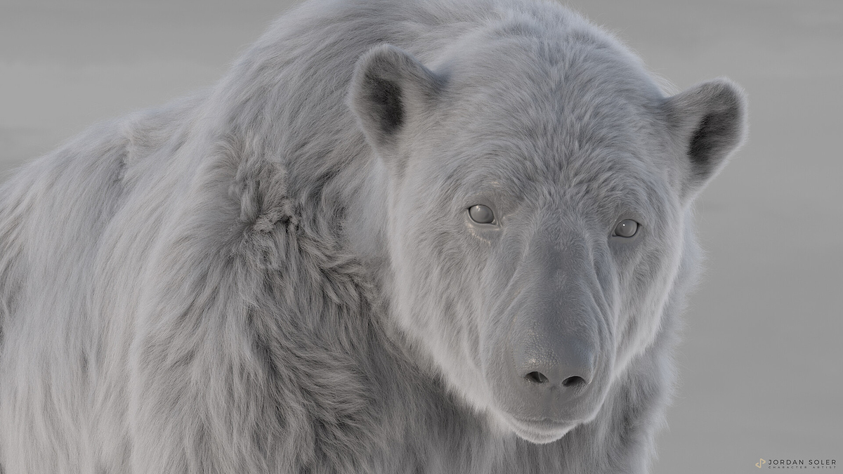 jordan-soler-amp-felix-ferrand-4k-frontbearcamera-greyscale