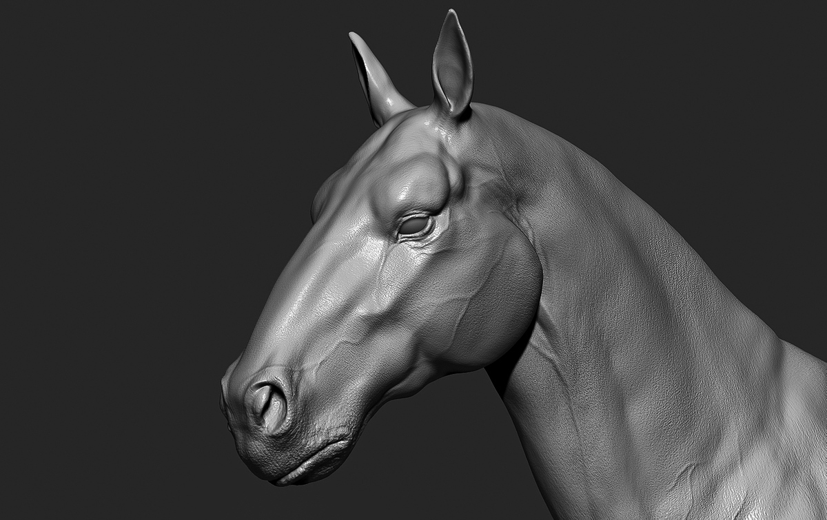 HorseZ_ (1 of 3)
