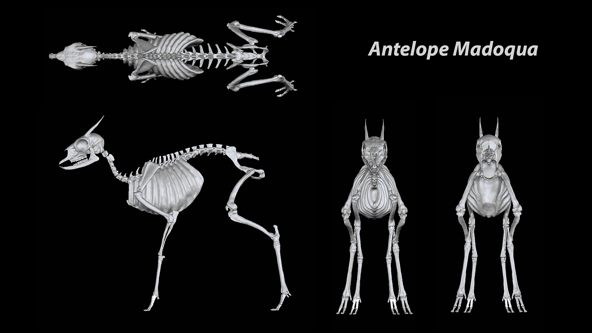 SkeletonViews