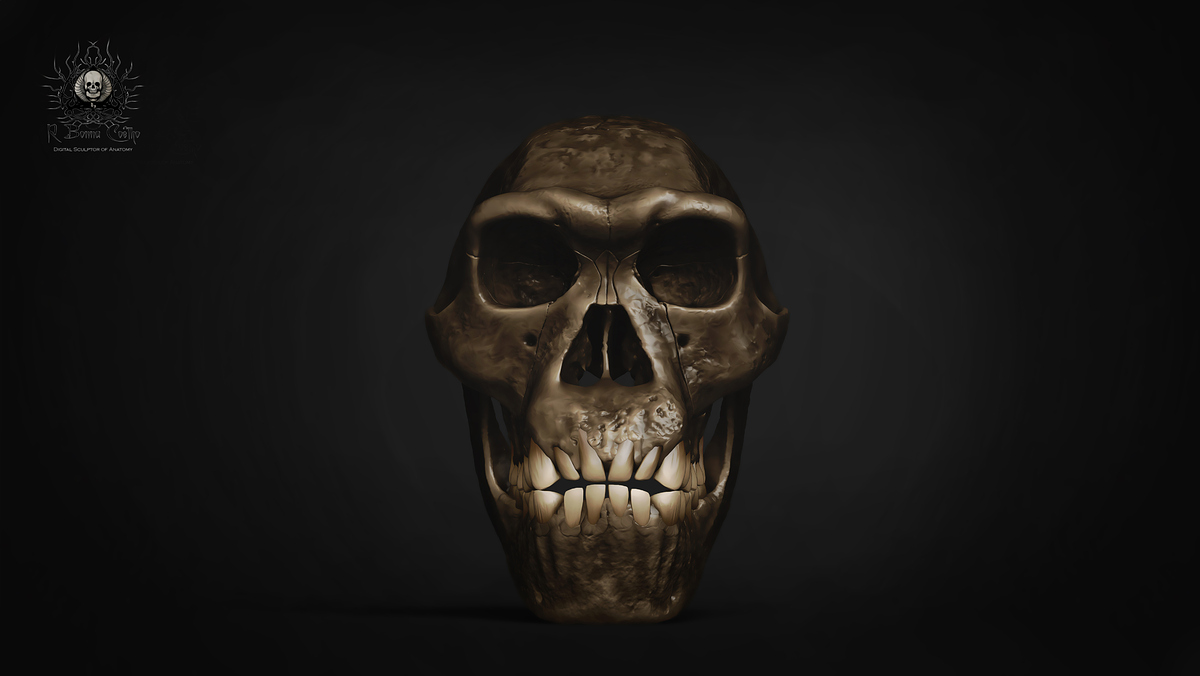 render 2