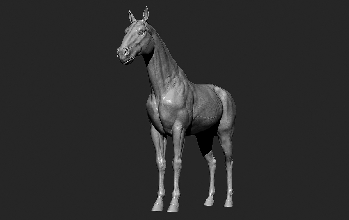 HorseZ_ (3 of 3)