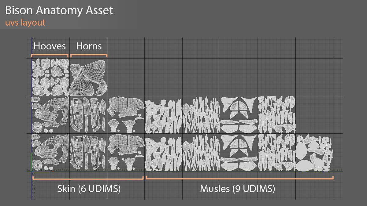 uvs