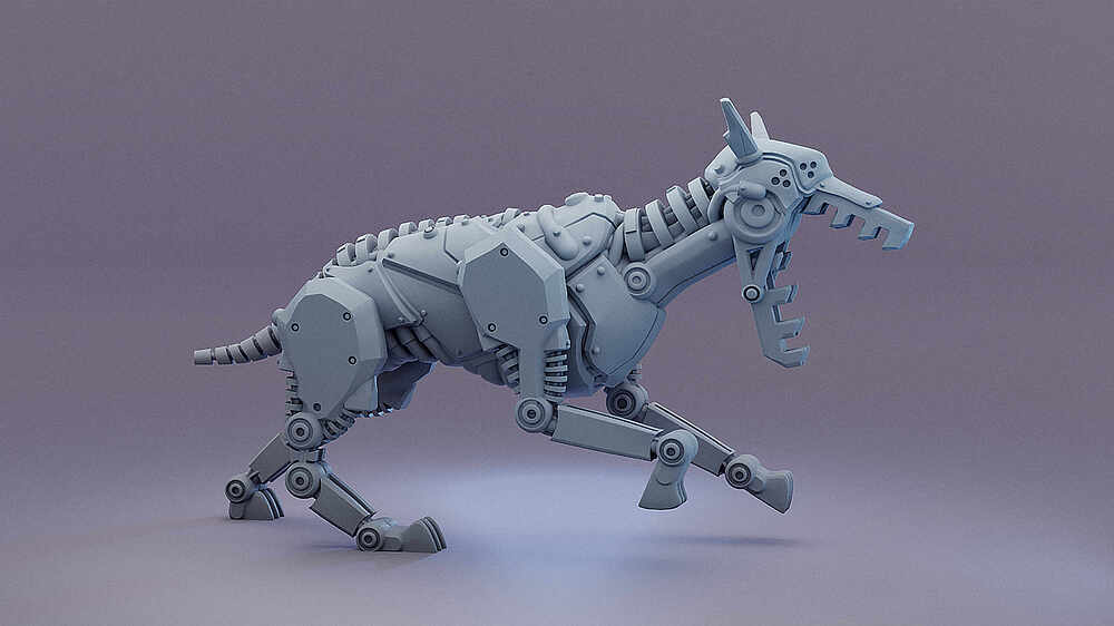 dog_run