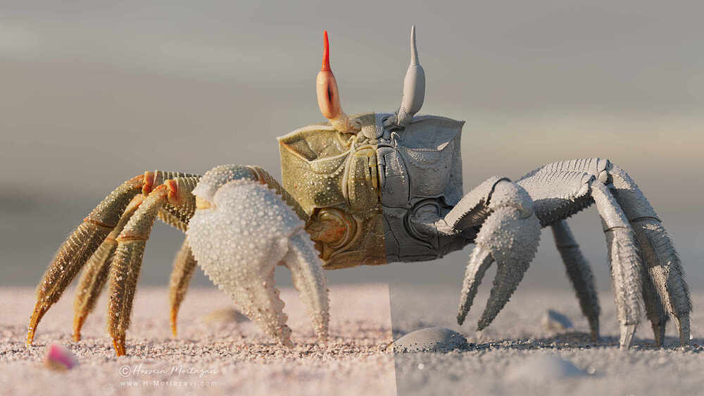 Ghost_Crab_004