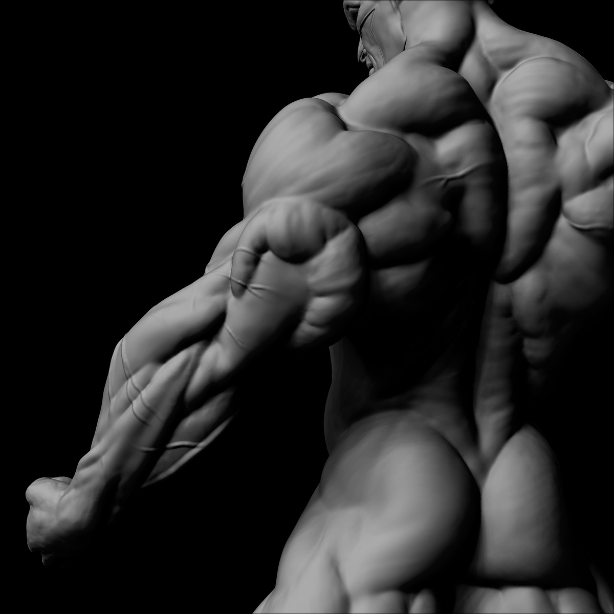 Anatomía 3