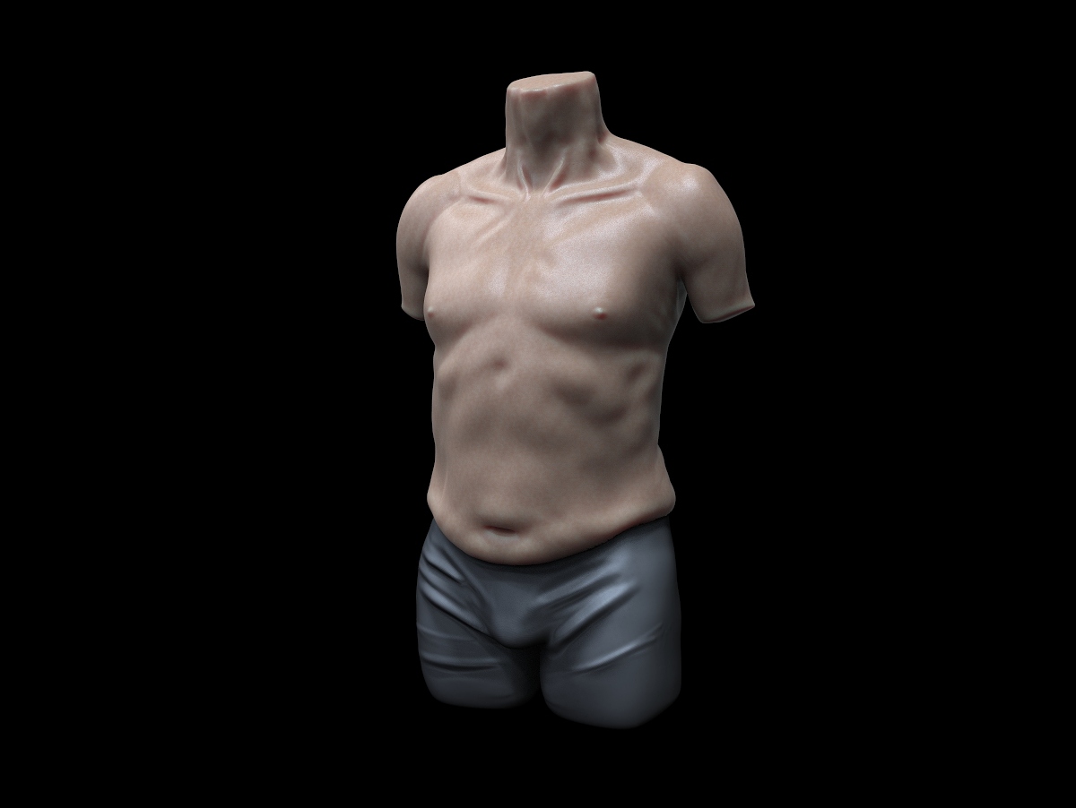 ALterMannTorso.11.jpg