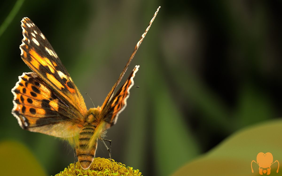 v_cardui_render_08