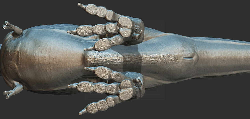 ZBrush Document3