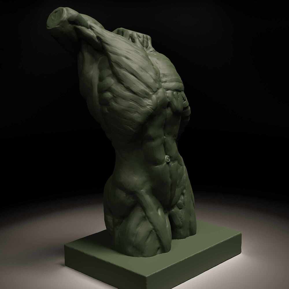 Torso_Render2_Blender