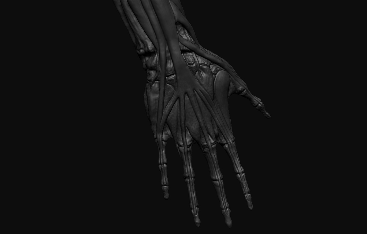 43