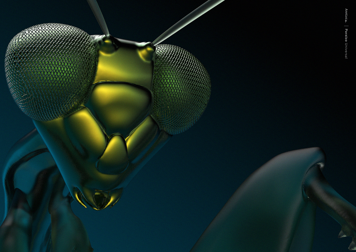 mantis2