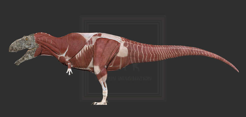 ZBrush Document8