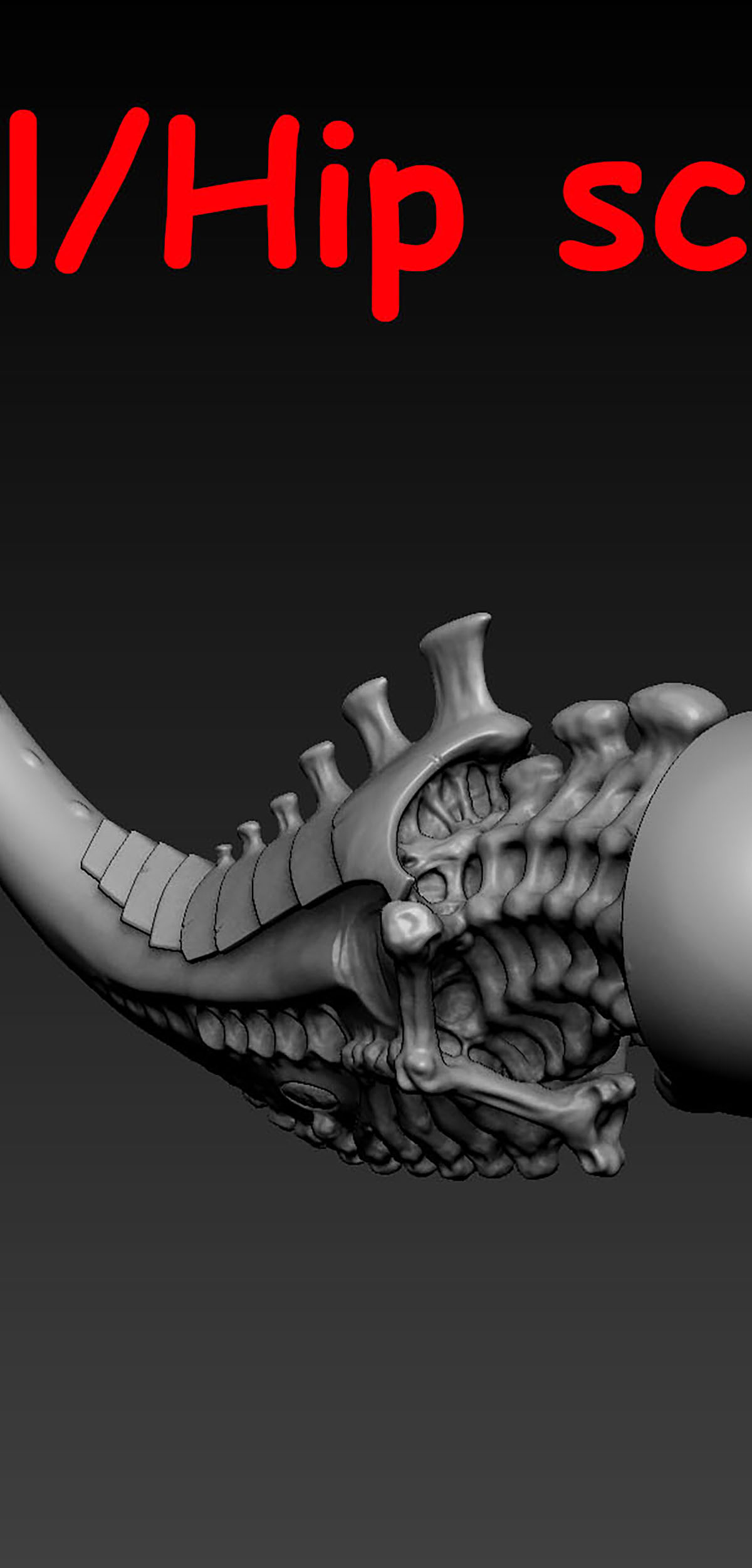 sculpt1.jpg