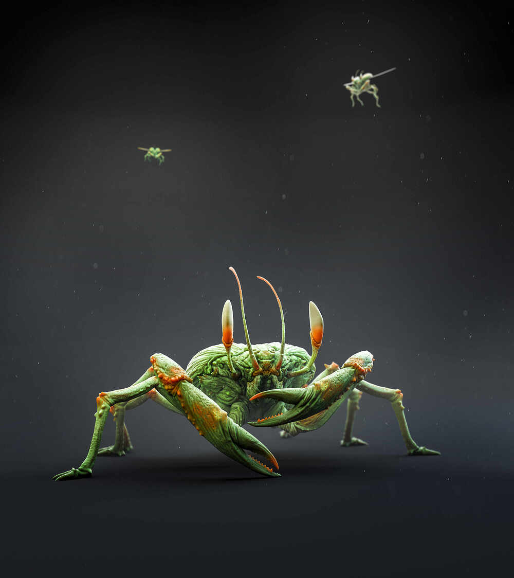 Scraab_02