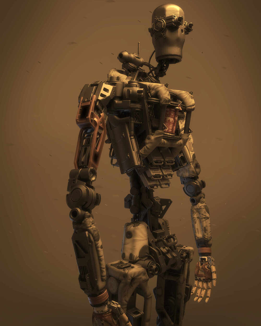 FrontLowWIdeHighRes copy