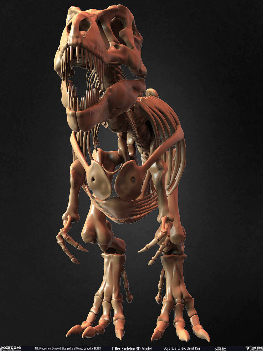 T-Rex Skeleton 3D Model (Tyrannosaurus Rex) Sculpted By Yacine BRINIS Set 021