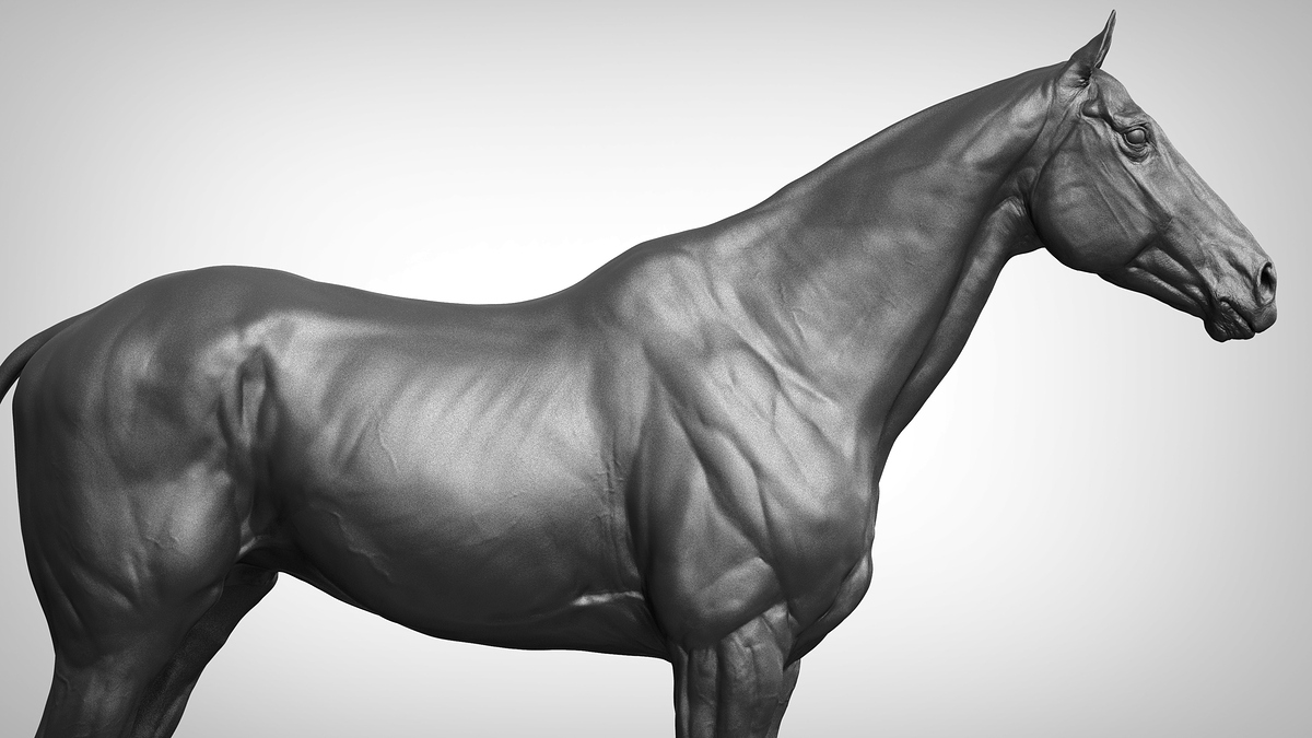 dmitrii-prosov-black-stallion-k-renderu-31379863-jpga9db04cc-9af7-41ac-a86b-13be8fa1639ezoom