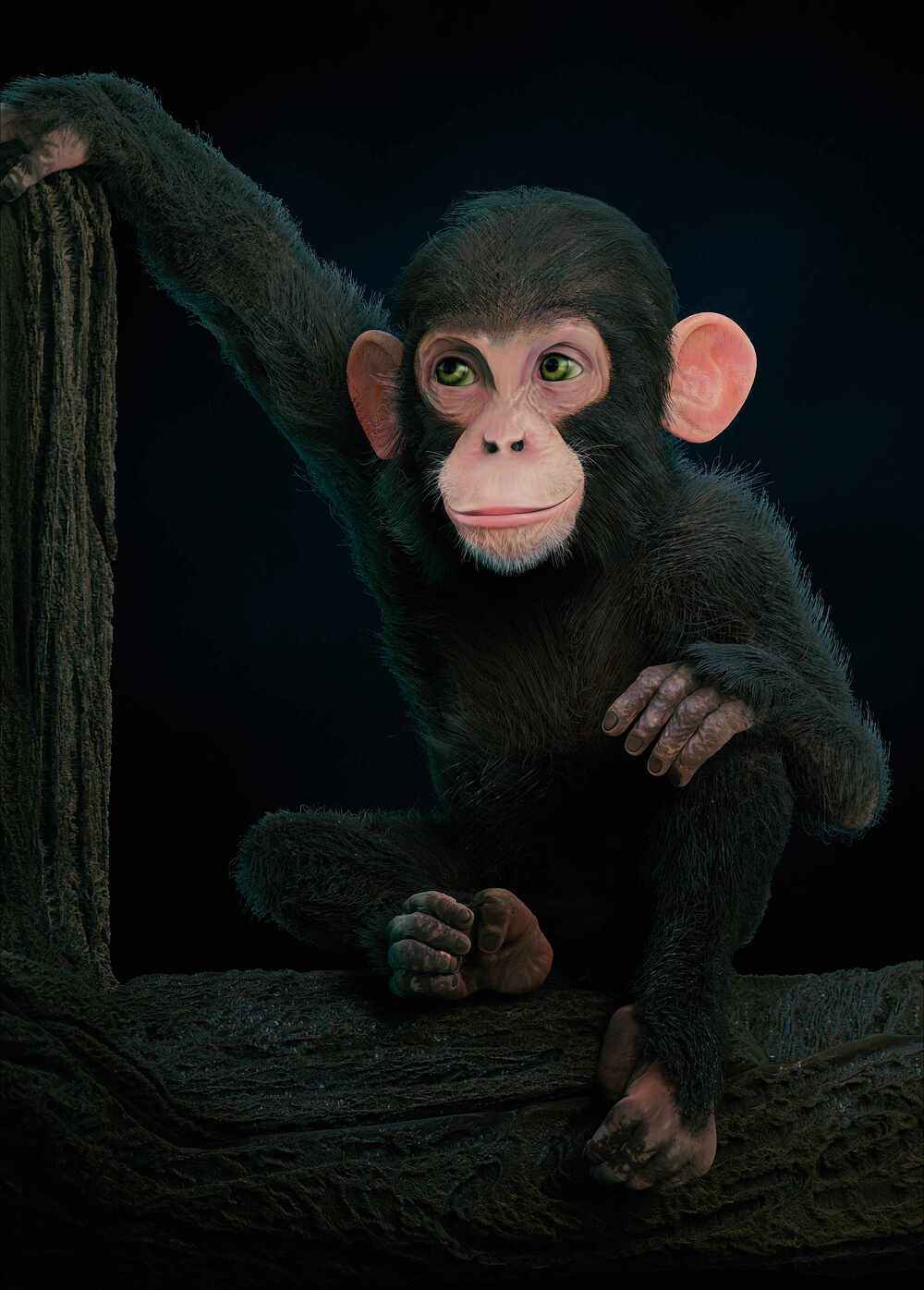 Chimp_001_2022 (1)