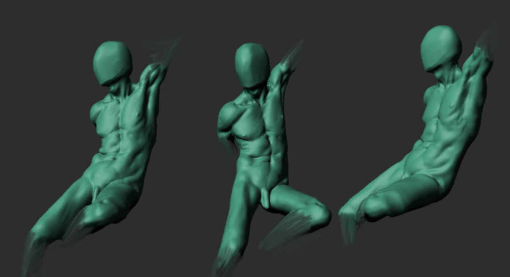 torso