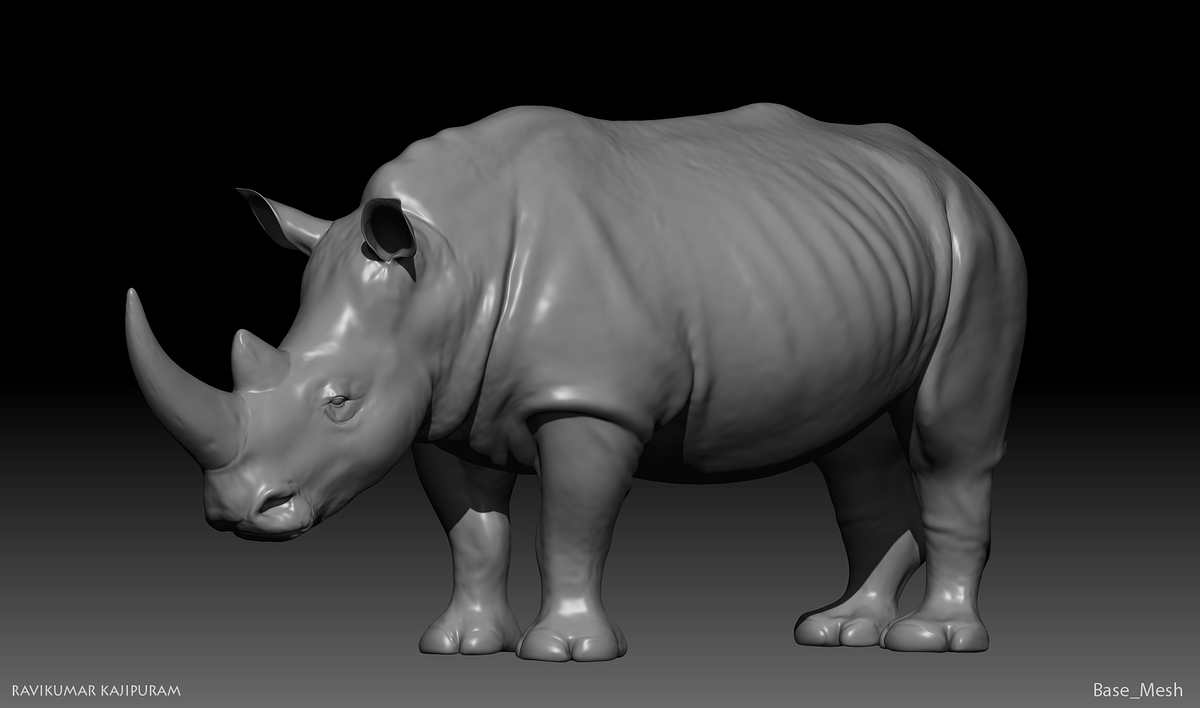 01Rhino_BaseMesh