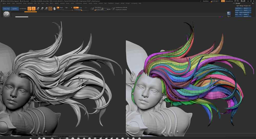 hair polygroup