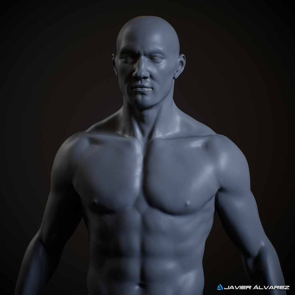 MaleAnatomyJAlvarez_1Main