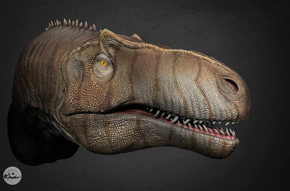 Render_0_004C
