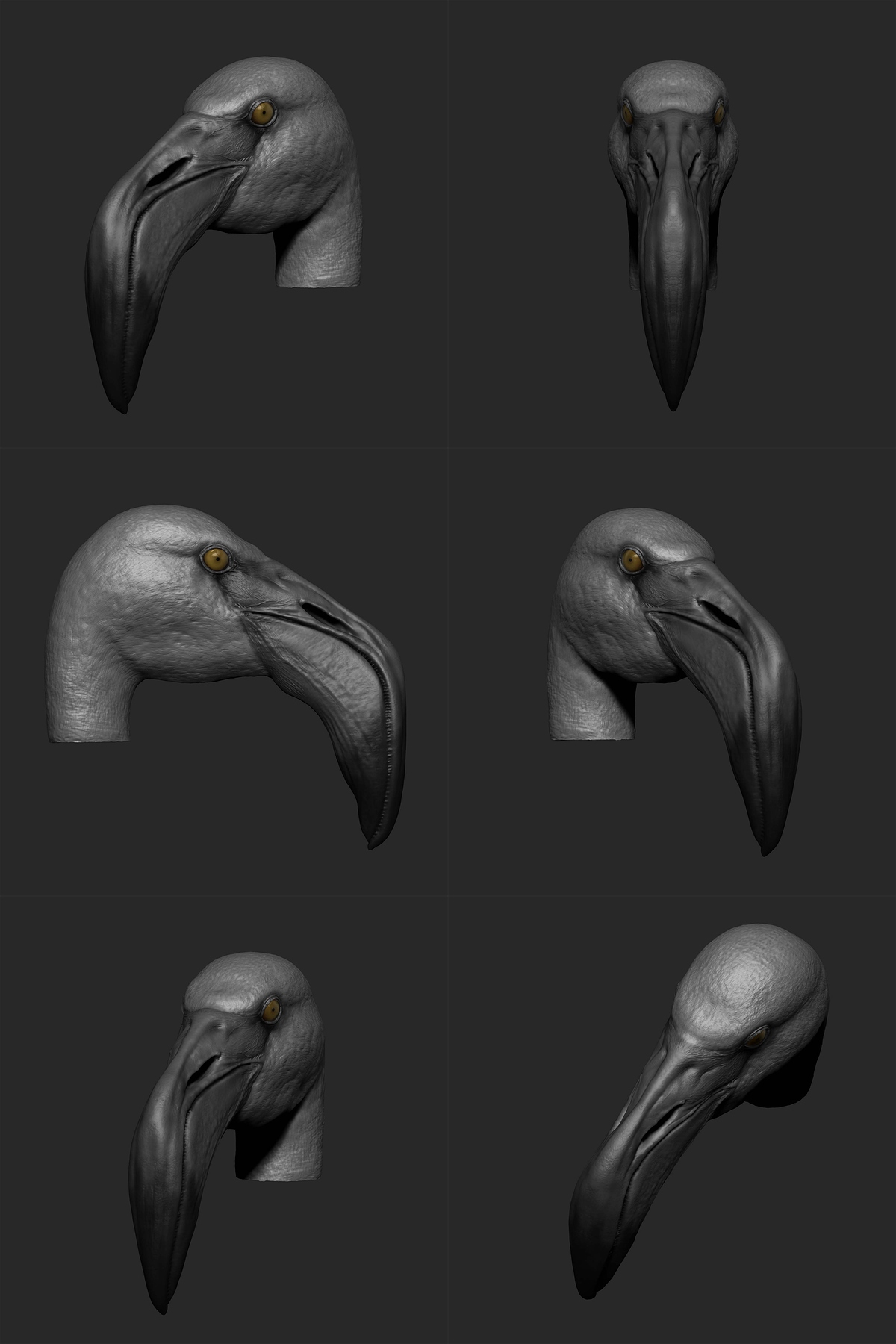 Flamingo