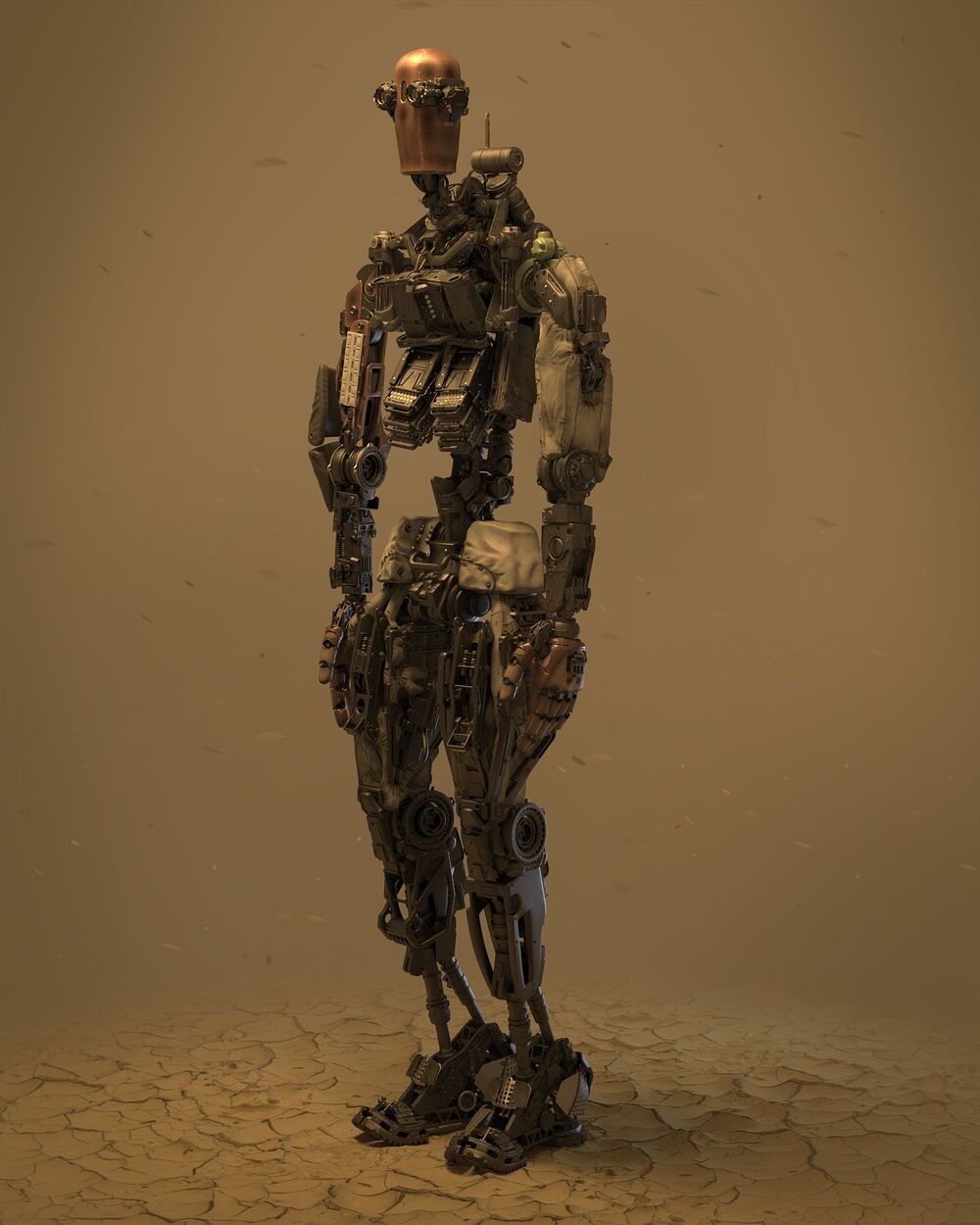 Body_A-01_1